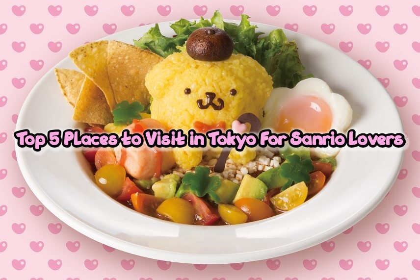 Top 5 Places to Visit in Tokyo for Sanrio Lovers