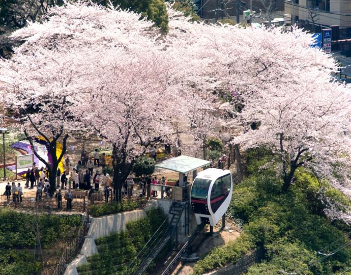 Top 10 FREE Things to Do in Tokyo
